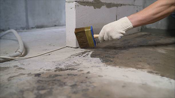 24/7 Emergency Waterproofing experts in Rolling Meadows, IL